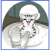 gatos vs gatos 8