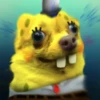 Chihuahua 6