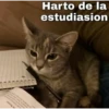 Si lees esto me debes un nude uwu 7