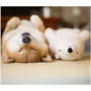 °Perros y gatos   4 9