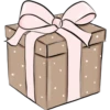 Navidad Pink 13