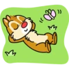 【中文】Chip 'n' Dale 隨你填貼圖 2 13