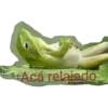 COTAS3 18