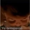 huevada 14