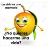 huevada 17