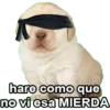 COTAS 2 18
