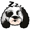 Zzz
