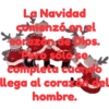 Navideños 21