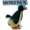 COTAS3 23