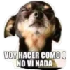 COTAS3 24