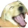 COTAS3 25