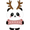 0000
coog
y