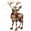 Navideños 24