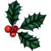 Feliz Navidad 24