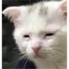 Lmao Memes 27