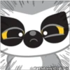 Animals YooHoo  1 23