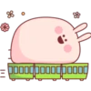 chubby bunny 30