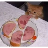 perros y gatos   3 27