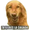 COTAS3 30