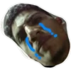 ARCHIVSJB3 7