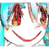 peko 5