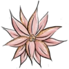 Navidad Pink #2 8