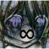 OGEY 5
