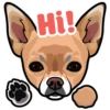 Hi!