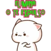 ELIMINA
O TE EXPULSO
àwó
z