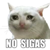 NO SIGAS