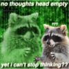 raccoon 7