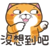 白爛貓30超愛演P.1/2 6