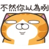 白爛貓30超愛演P.2/2 5