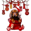 Navidad Perruna  Clásica 6