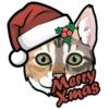 Merry
Xmas