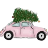 Navidad Pink #2 14