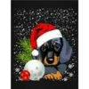 Navidad Perruna  Clásica 9