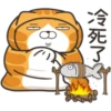 白爛貓30超愛演P.1/2 9