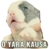 O YARA KAUSA