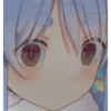 ogey 17
