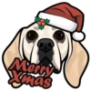 Merry
Xmas