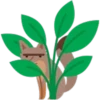 Facebook Foxes 21