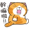 白爛貓30超愛演P.2/2 12