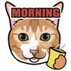 MOR
MORNING