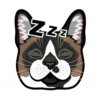 ZZZ