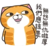 白爛貓30超愛演P.1/2 13