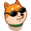 SHIBE 11
