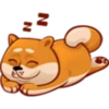 SHIBE 12