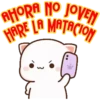 AHORA NO JOVEN
HARE LA MATACION
3