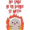 NO SABE
NI EN DONDE
SE METIO
